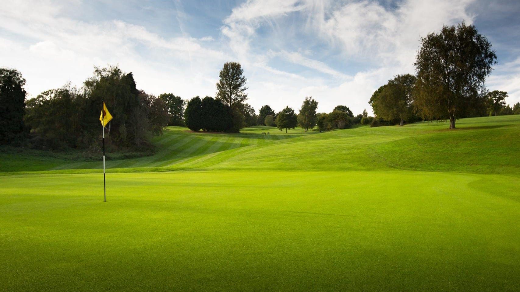 Four Ball on The Dale Hill Course